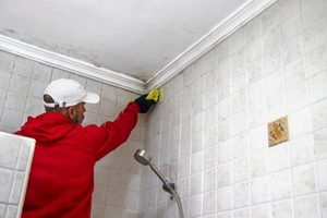 Why Does Your Bathroom Stay Damp? Remodel Ideas for New Orleans Homes
