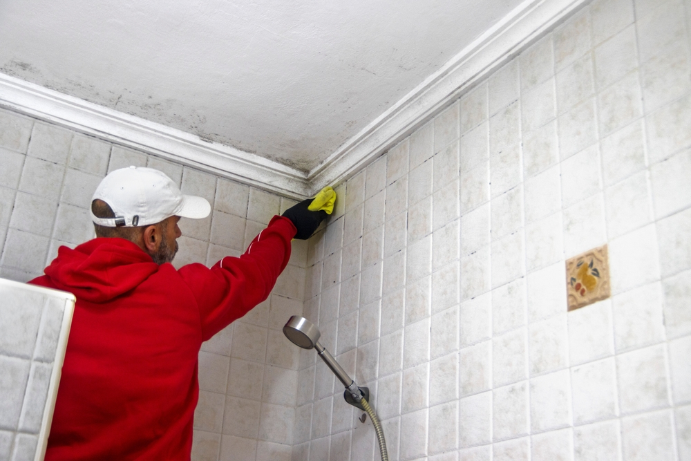 Why Does Your Bathroom Stay Damp Remodel Ideas for New Orleans Homes - bathroom remodeling in new orleans